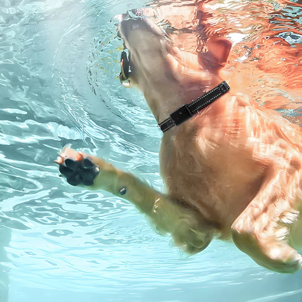 GPS Tracker for Dogs & Cats | Real-Time Location | Waterproof Smart Collar